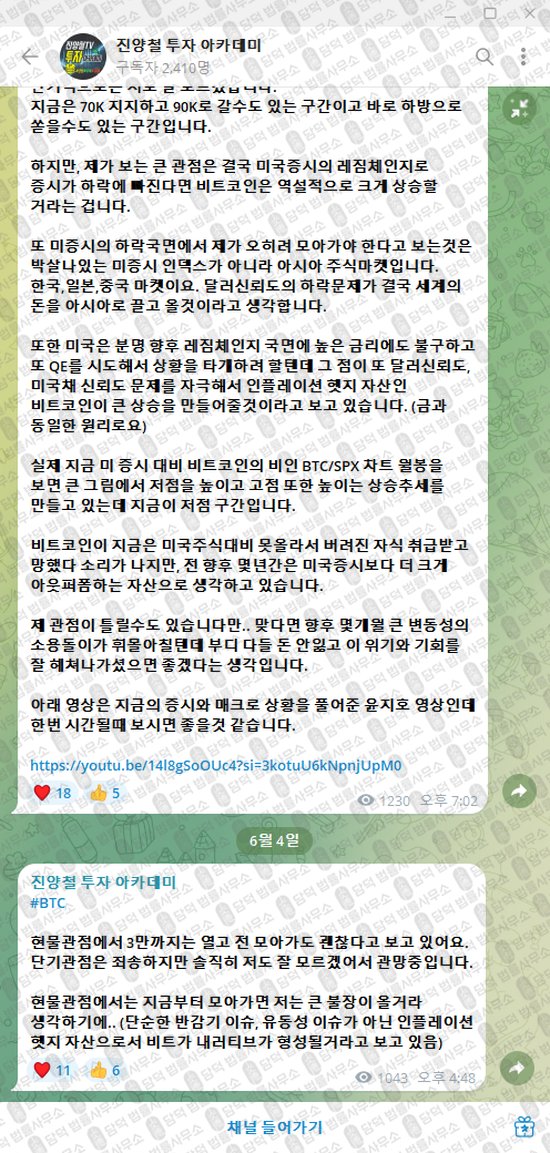 이 사진은 담덕법률사무소에서 캡쳐해둔 진양철(VIP) 웹사이트 캡쳐 사진이며 URL은 t.me 입니다.