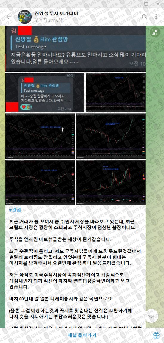 이 사진은 담덕법률사무소에서 캡쳐해둔 진양철(VIP) 웹사이트 캡쳐 사진이며 URL은 t.me 입니다.