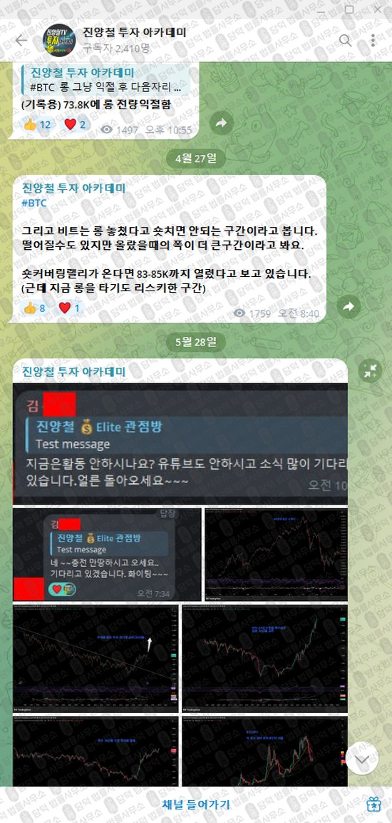 이 사진은 담덕법률사무소에서 캡쳐해둔 진양철(VIP) 웹사이트 캡쳐 사진이며 URL은 t.me 입니다.