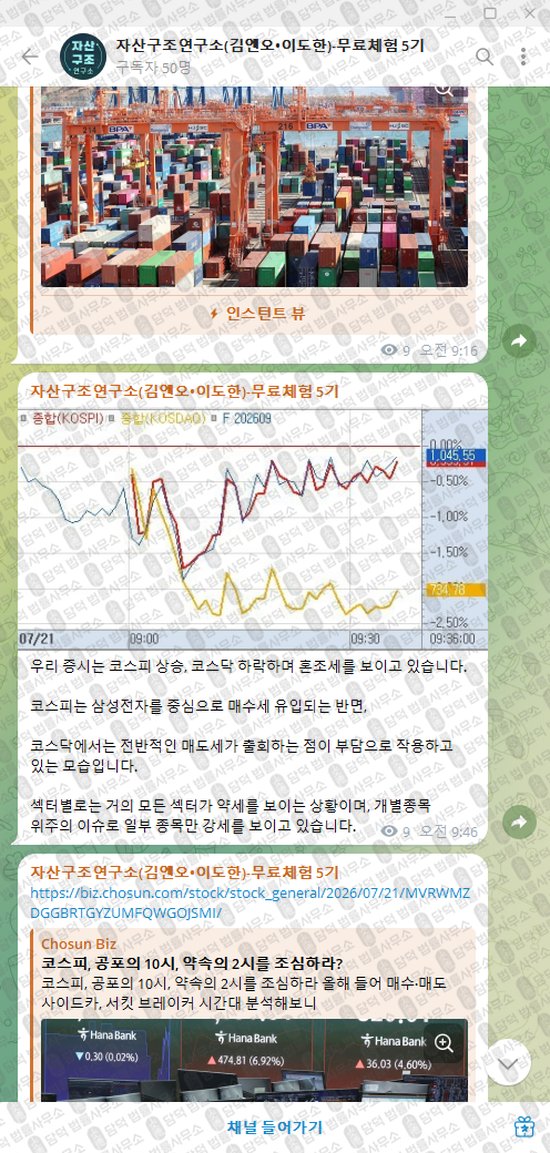 이 사진은 담덕법률사무소에서 캡쳐해둔 자산구조연구소(VIP) 웹사이트 캡쳐 사진이며 URL은 t.me 입니다.