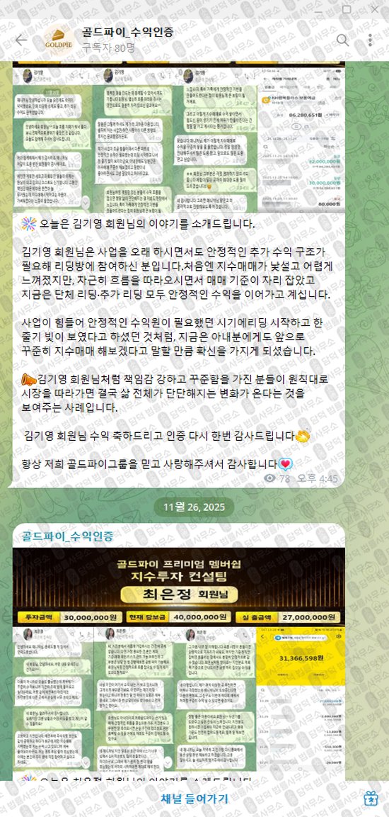 이 사진은 담덕법률사무소에서 캡쳐해둔 골드파이(VIP) 웹사이트 캡쳐 사진이며 URL은 t.me 입니다.