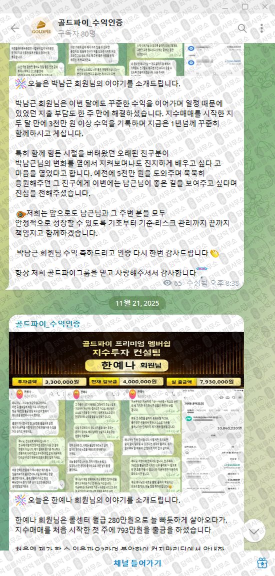 이 사진은 담덕법률사무소에서 캡쳐해둔 골드파이(VIP) 웹사이트 캡쳐 사진이며 URL은 t.me 입니다.