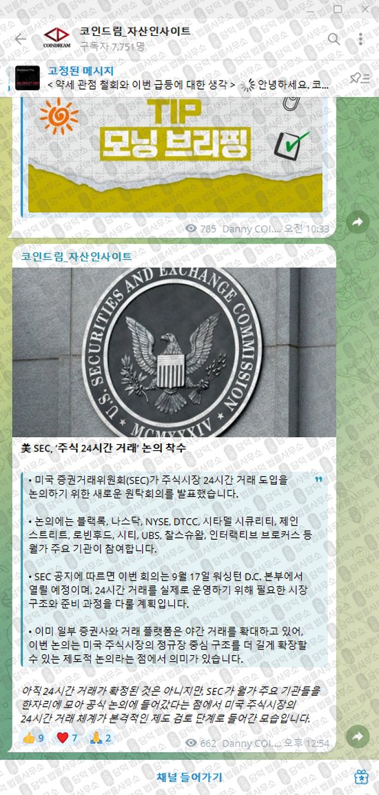 이 사진은 담덕법률사무소에서 캡쳐해둔 코인드림(VIP) 웹사이트 캡쳐 사진이며 URL은 t.me 입니다.