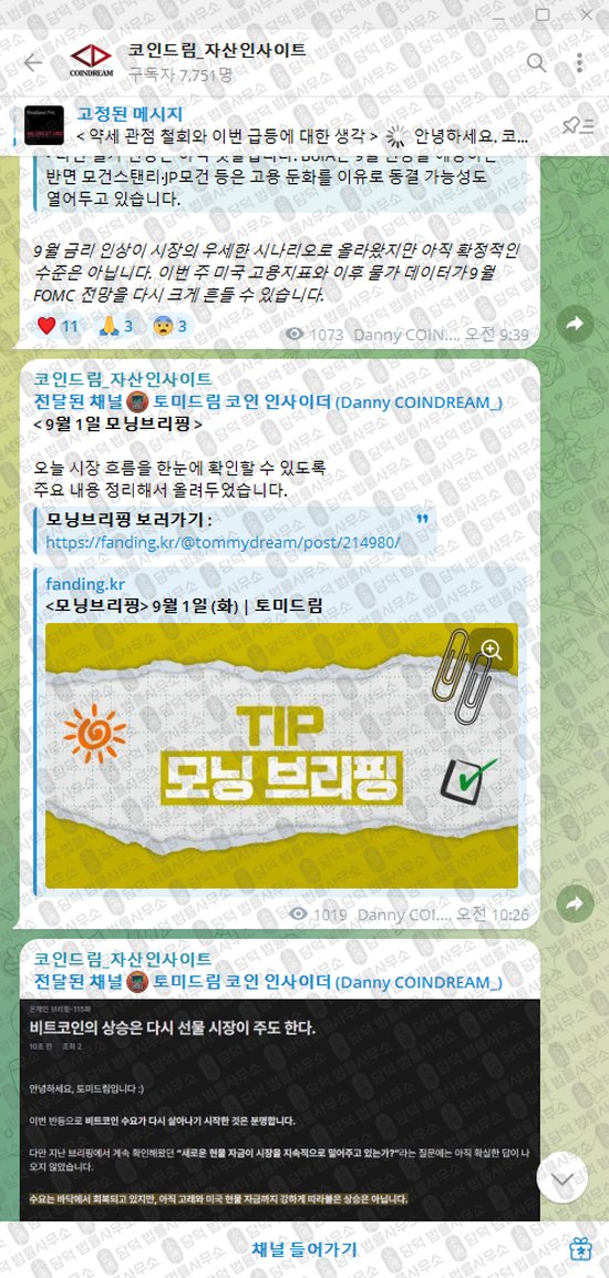 이 사진은 담덕법률사무소에서 캡쳐해둔 코인드림(VIP) 웹사이트 캡쳐 사진이며 URL은 t.me 입니다.