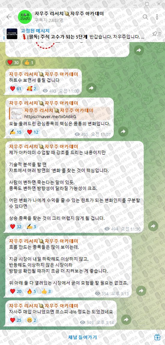 이 사진은 담덕법률사무소에서 캡쳐해둔 차우주(VIP) 웹사이트 캡쳐 사진이며 URL은 t.me 입니다.