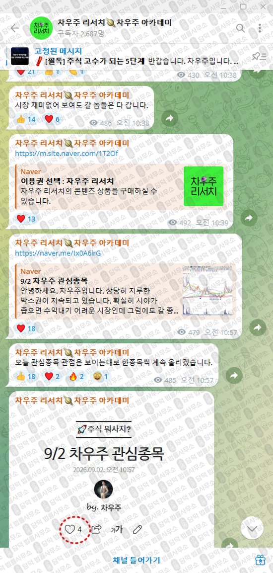 이 사진은 담덕법률사무소에서 캡쳐해둔 차우주(VIP) 웹사이트 캡쳐 사진이며 URL은 t.me 입니다.