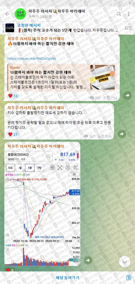 이 사진은 담덕법률사무소에서 캡쳐해둔 차우주(VIP) 웹사이트 캡쳐 사진이며 URL은 t.me 입니다.