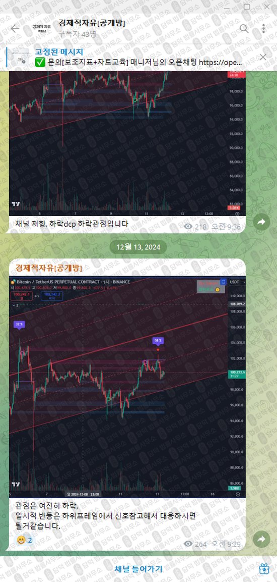 이 사진은 담덕법률사무소에서 캡쳐해둔 경제적자유(VIP) 웹사이트 캡쳐 사진이며 URL은 t.me 입니다.