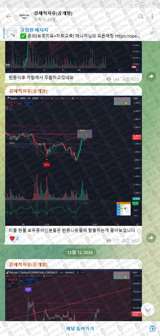 이 사진은 담덕법률사무소에서 캡쳐해둔 경제적자유(VIP) 웹사이트 캡쳐 사진이며 URL은 t.me 입니다.