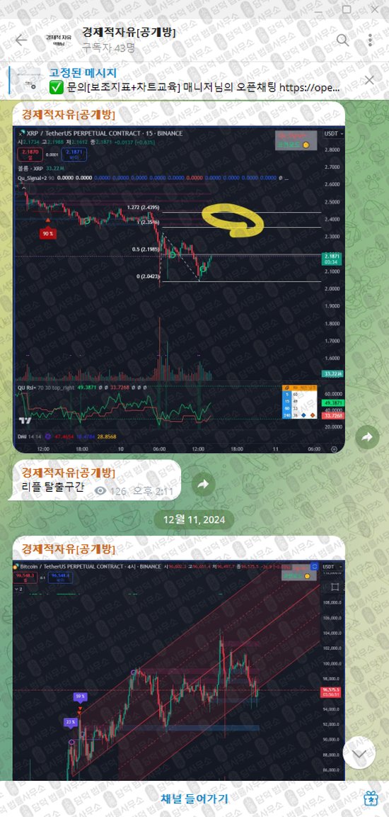 이 사진은 담덕법률사무소에서 캡쳐해둔 경제적자유(VIP) 웹사이트 캡쳐 사진이며 URL은 t.me 입니다.