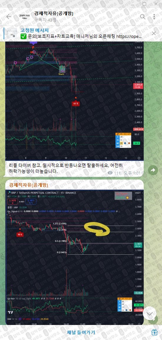 이 사진은 담덕법률사무소에서 캡쳐해둔 경제적자유(VIP) 웹사이트 캡쳐 사진이며 URL은 t.me 입니다.