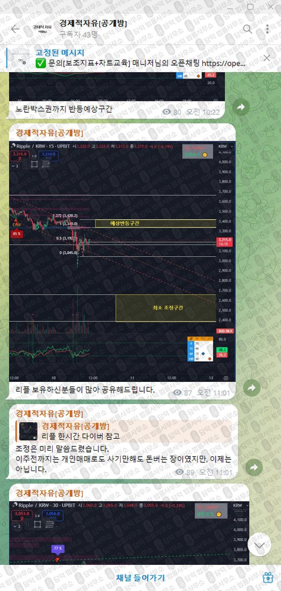 이 사진은 담덕법률사무소에서 캡쳐해둔 경제적자유(VIP) 웹사이트 캡쳐 사진이며 URL은 t.me 입니다.