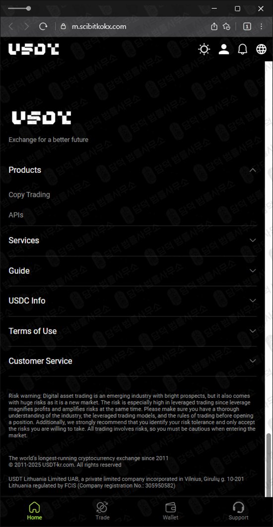 이 사진은 담덕법률사무소에서 캡쳐해둔 테더(USDT) 웹사이트 캡쳐 사진이며 URL은 token-positioncoin.com 입니다.