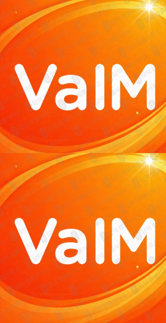이 사진은 담덕법률사무소에서 캡쳐해둔 폰지(VaIM PRO) 웹사이트 캡쳐 사진이며 URL은 google.com 입니다.