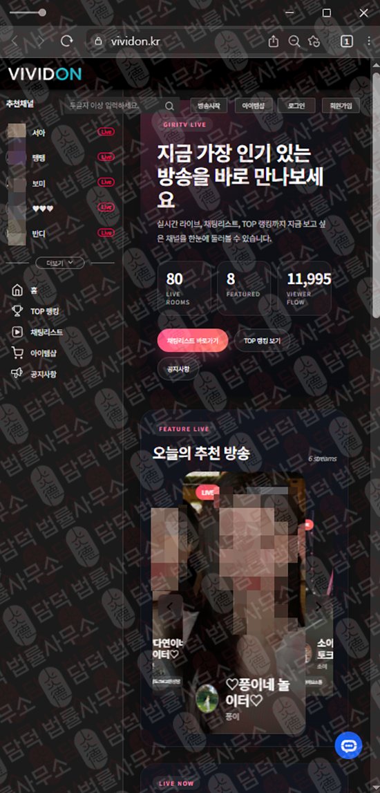 이 사진은 담덕법률사무소에서 캡쳐해둔 비비드온(VIVIDON) 웹사이트 캡쳐 사진이며 URL은 vividon.kr 입니다.